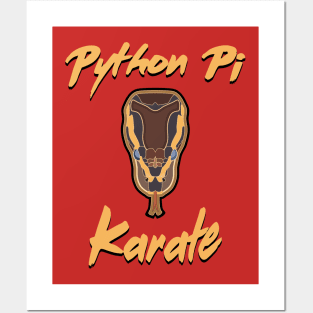 Python Pi Karate Posters and Art